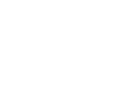 Pioneer Logo